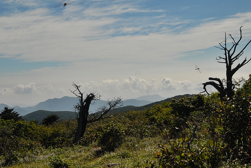 DSC_0700.JPG