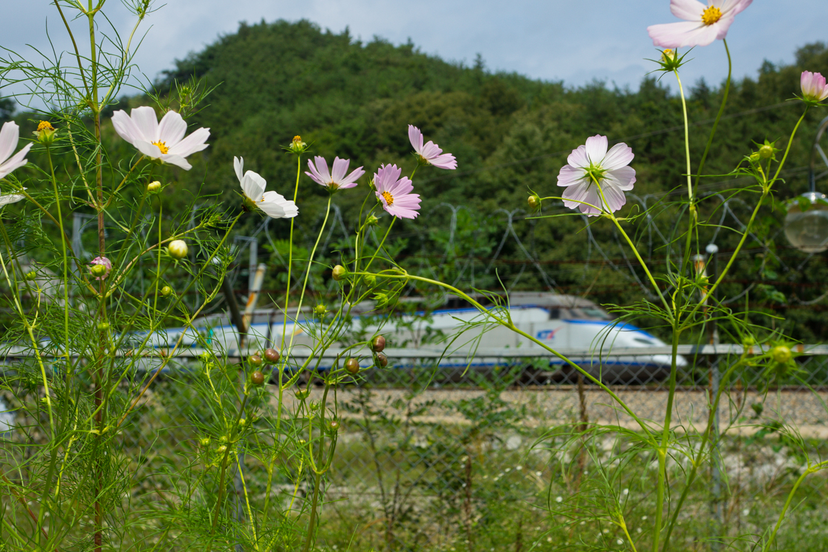 DSC02725.JPG