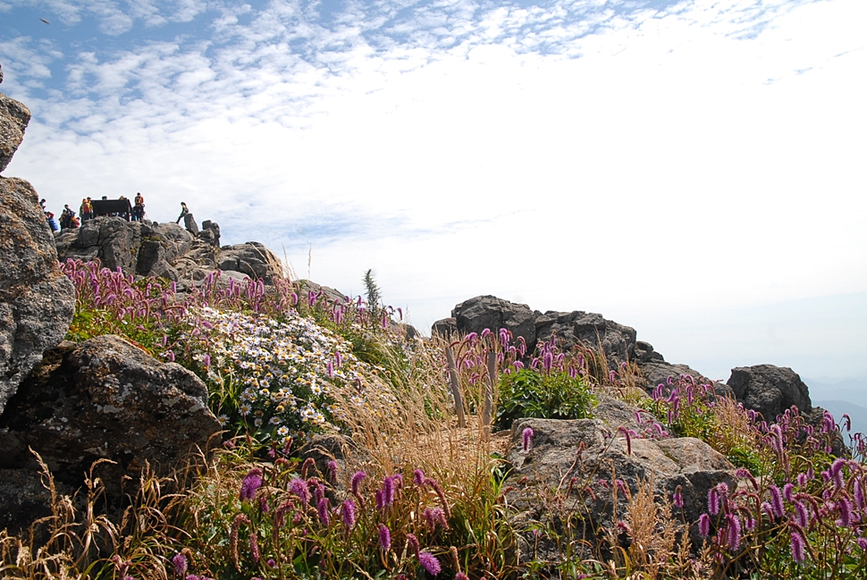 DSC_0253.JPG
