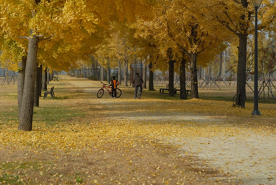 DSC_0364.JPG