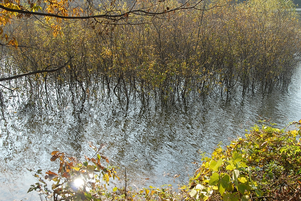DSC_0195.JPG