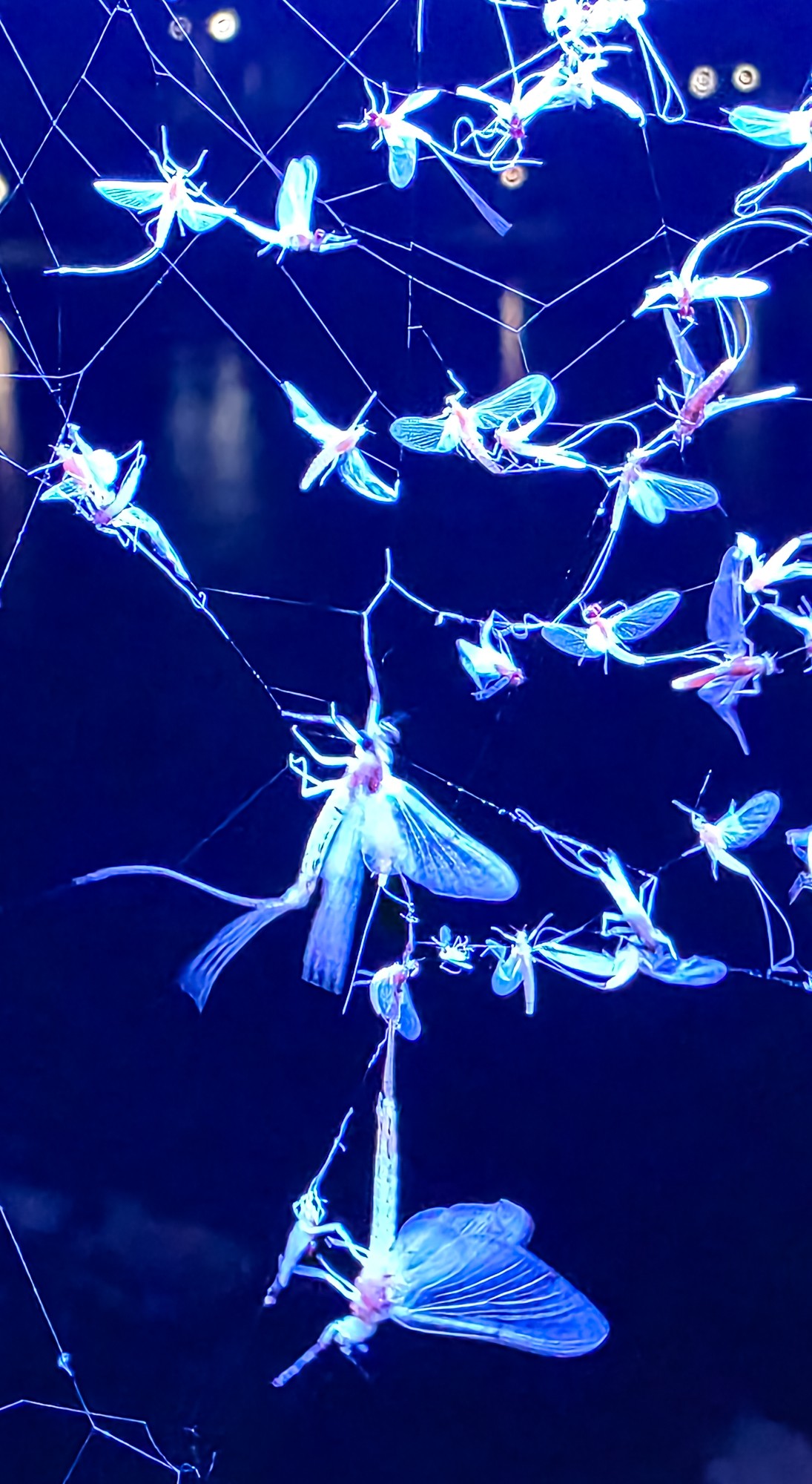 20260715_211617.JPG