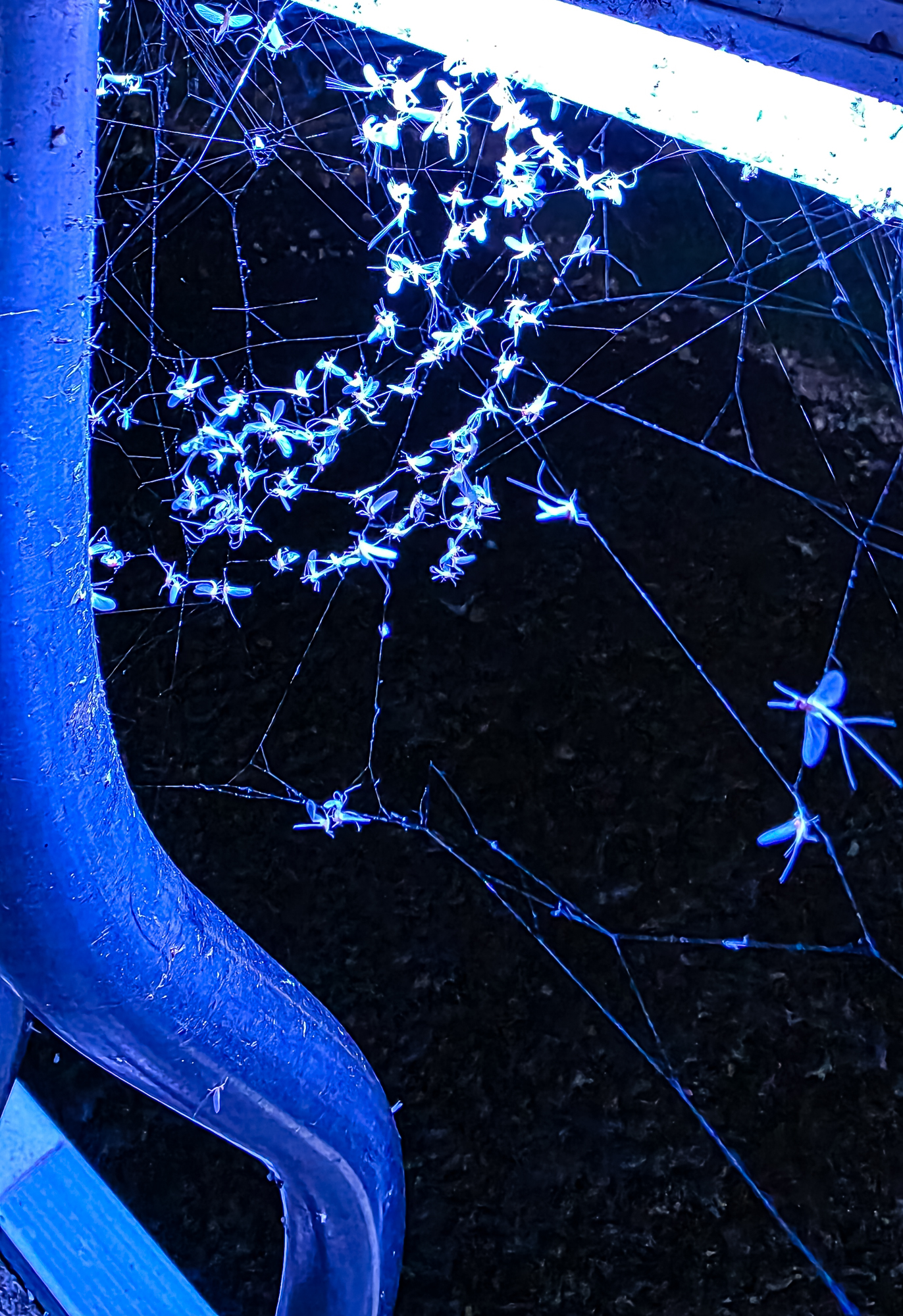 20260715_211514.JPG