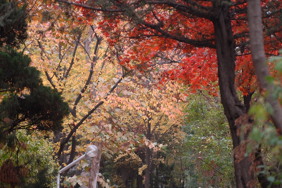 DSC_0014.JPG