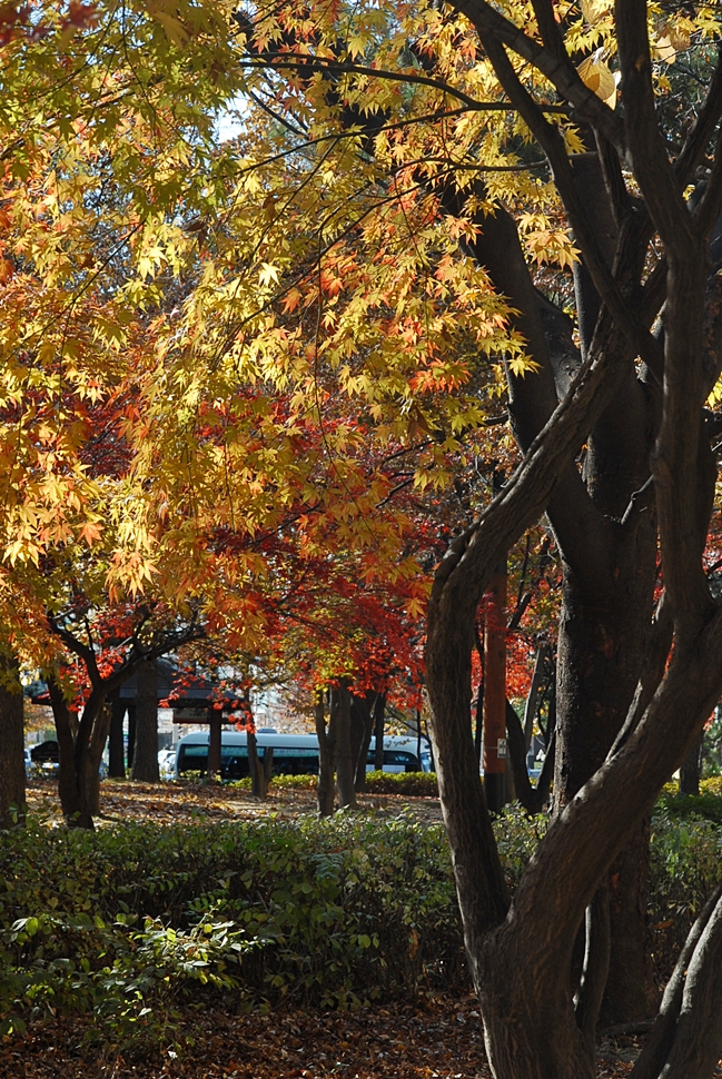 DSC_0102.JPG