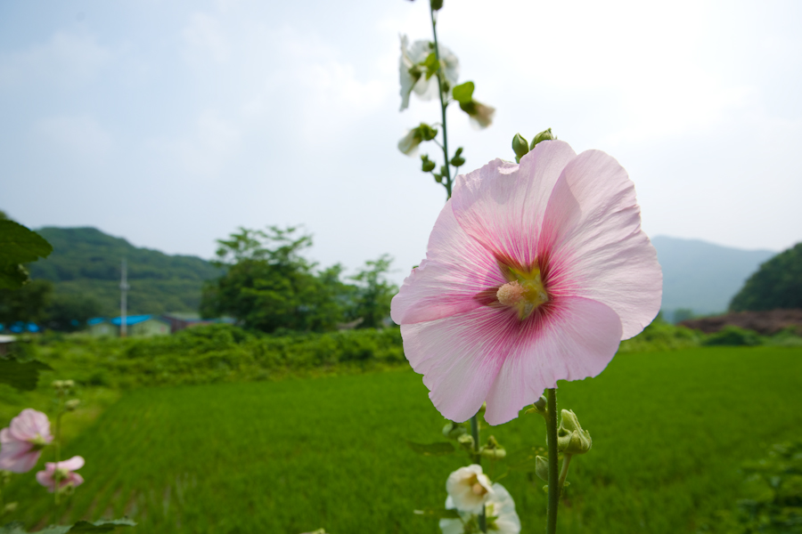 DSC05959.jpg