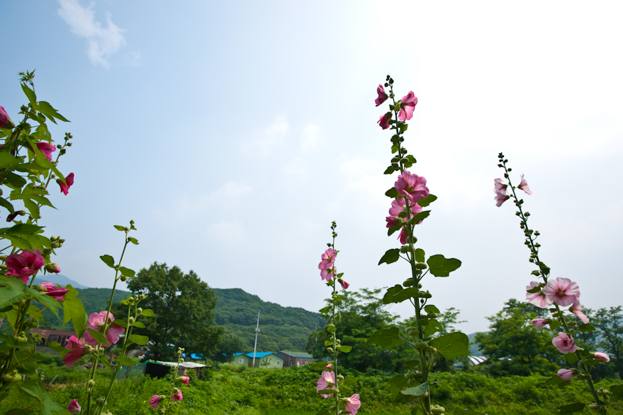 DSC05961.jpg