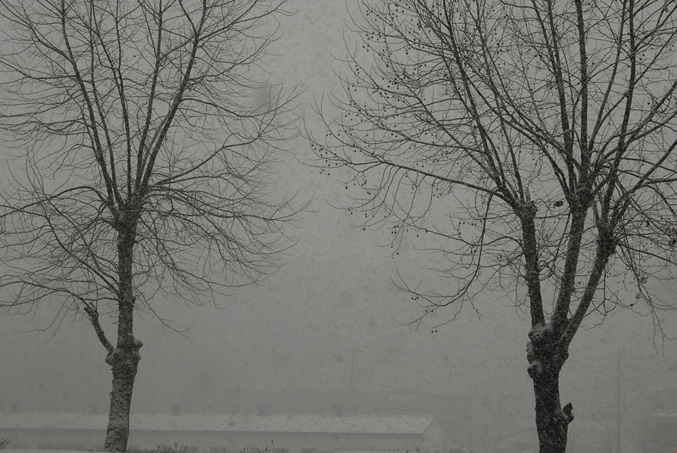 DSC_0089.JPG