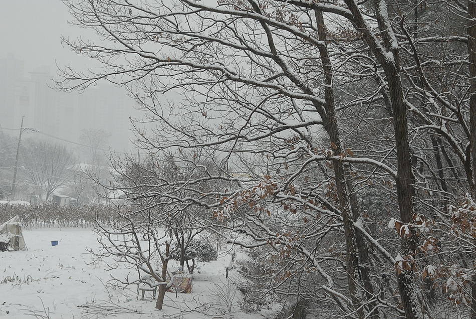 DSC_0131.JPG