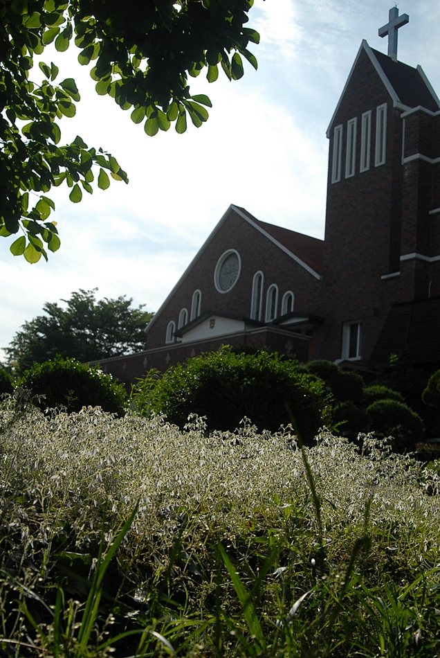 DSC_0013.JPG