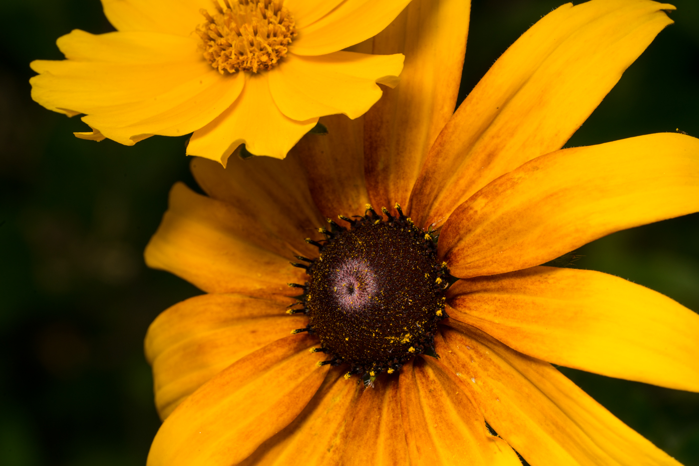 YDY08164.jpg