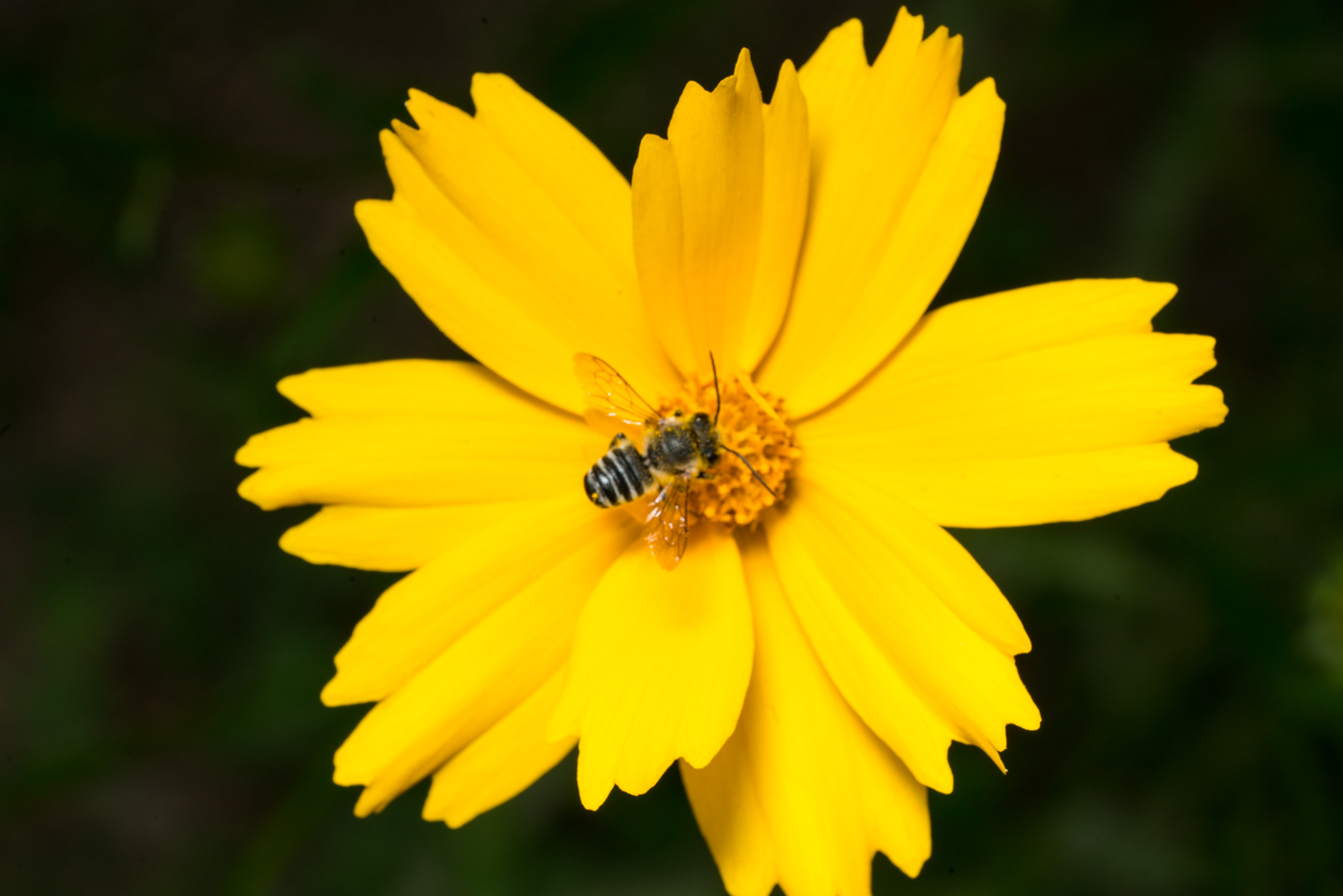 YDY08165.jpg