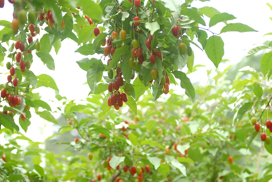 DSC_0005.JPG