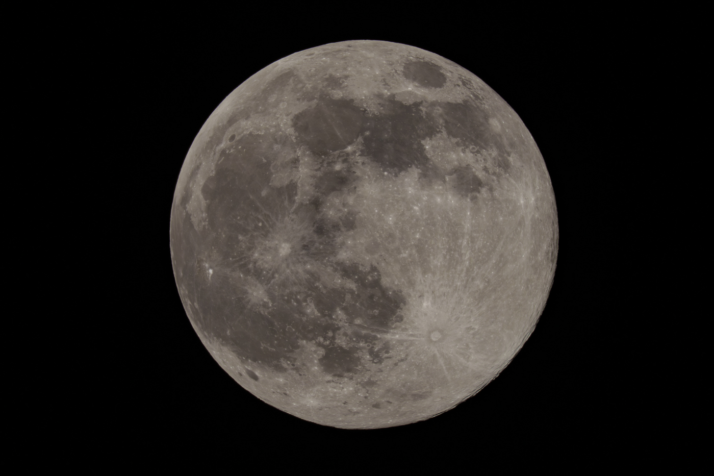 YDY00424-2.jpg
