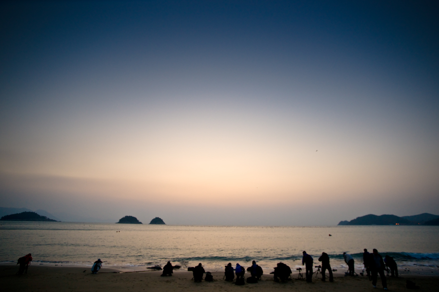 DSC09875.jpg