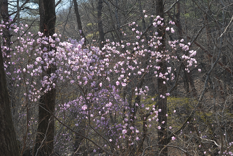DSC_0379.JPG