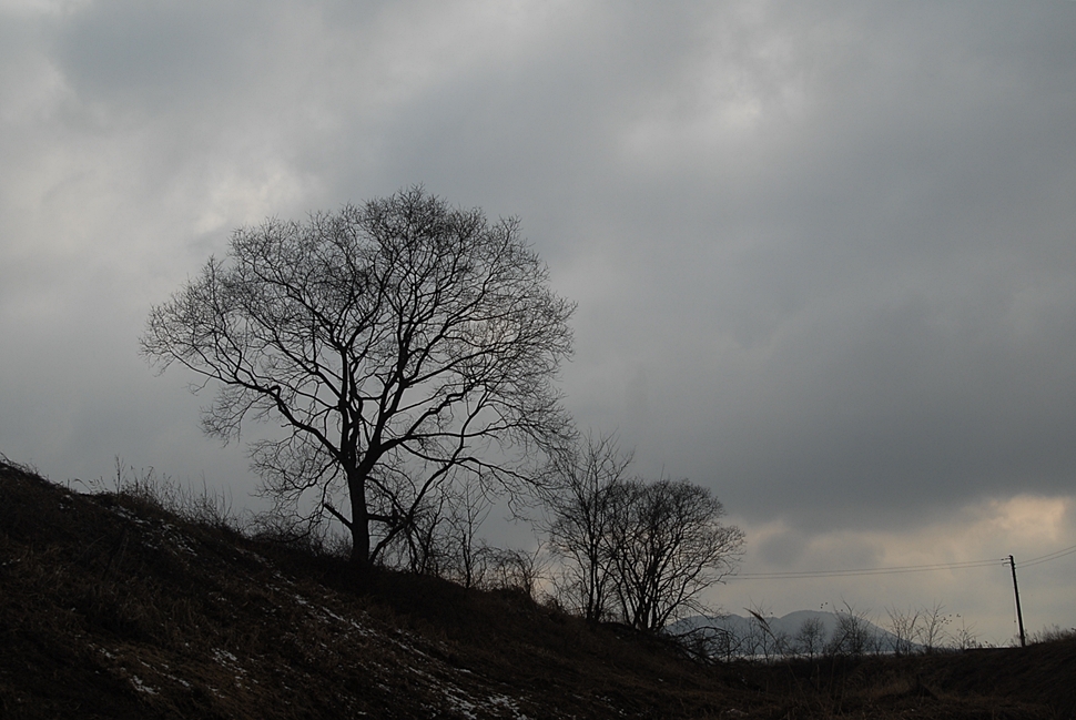 DSC_0253.JPG
