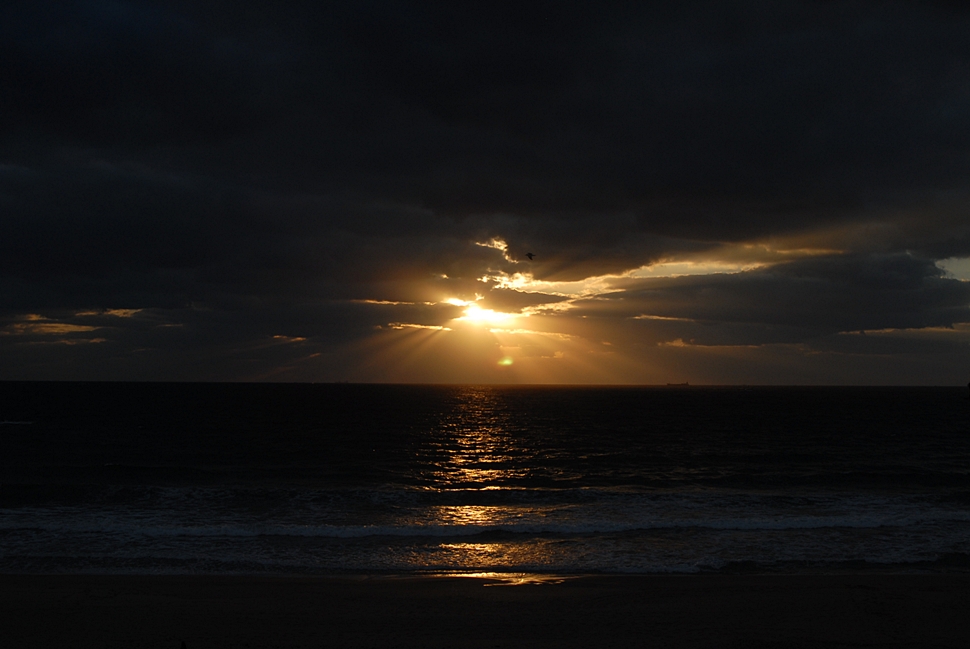 DSC_0833.JPG