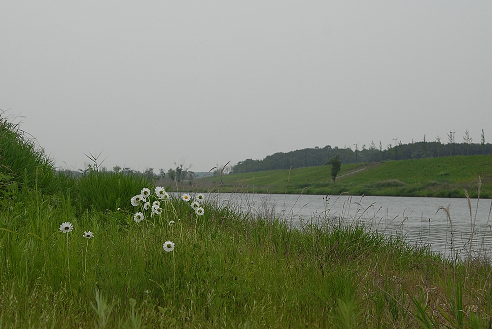 DSC_0124.JPG