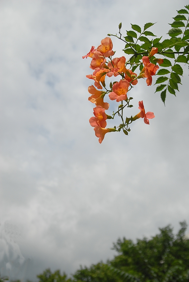 DSC_0033.JPG