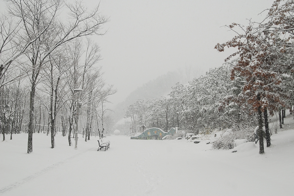 DSC_0083.JPG