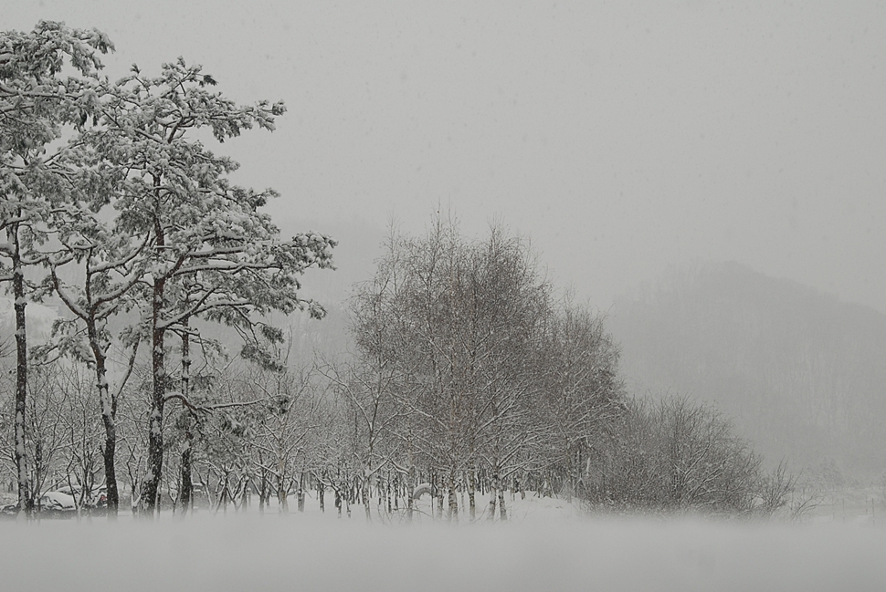 DSC_0048.JPG