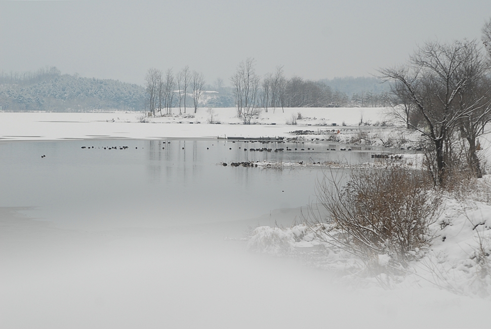 DSC_0115.JPG