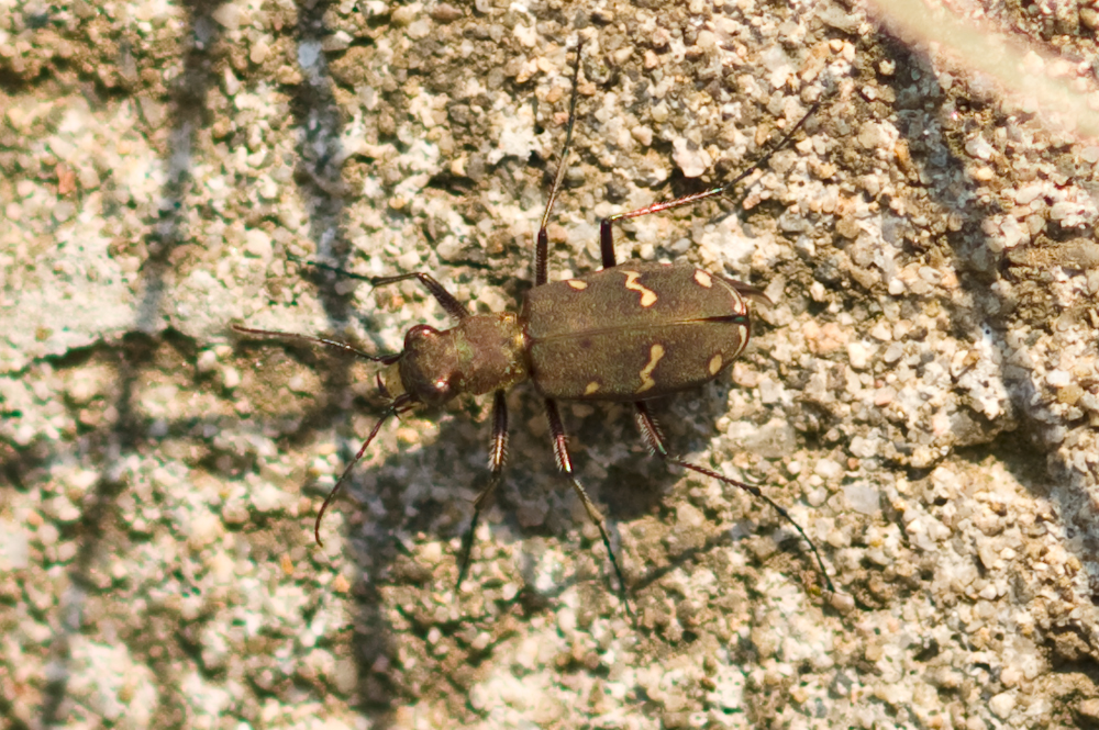 DSC04476.jpg