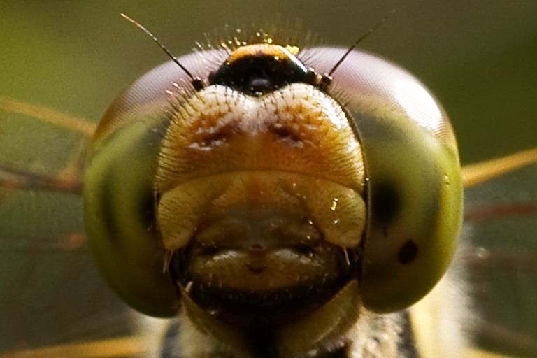 DSC08612(1)-2.jpg