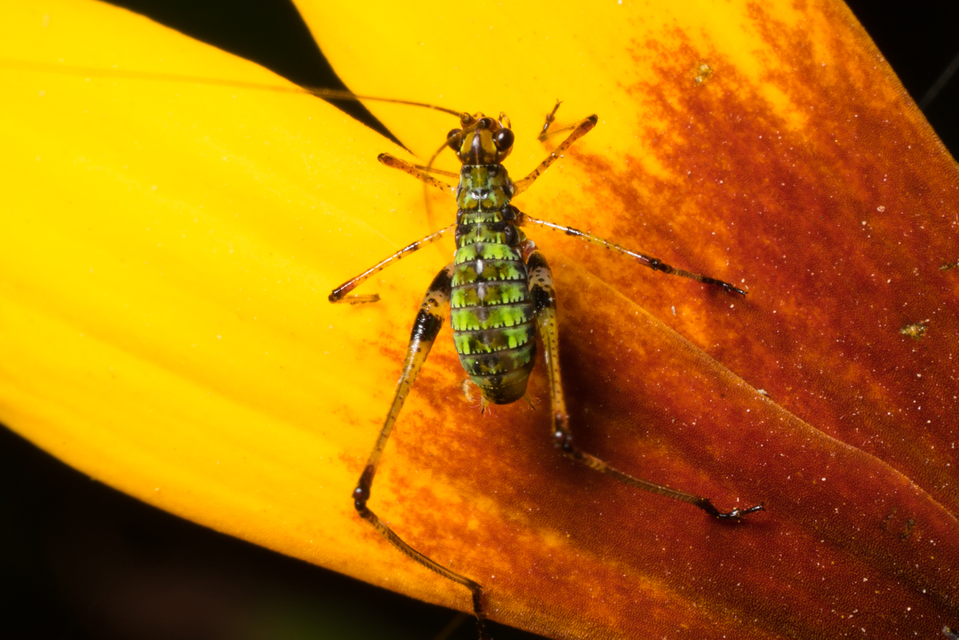 YDY08995.jpg