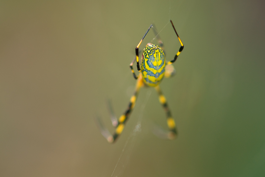 DSC09645-3.jpg