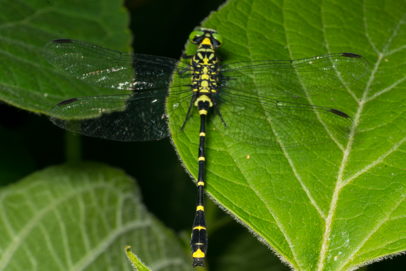 YDY09357.jpg