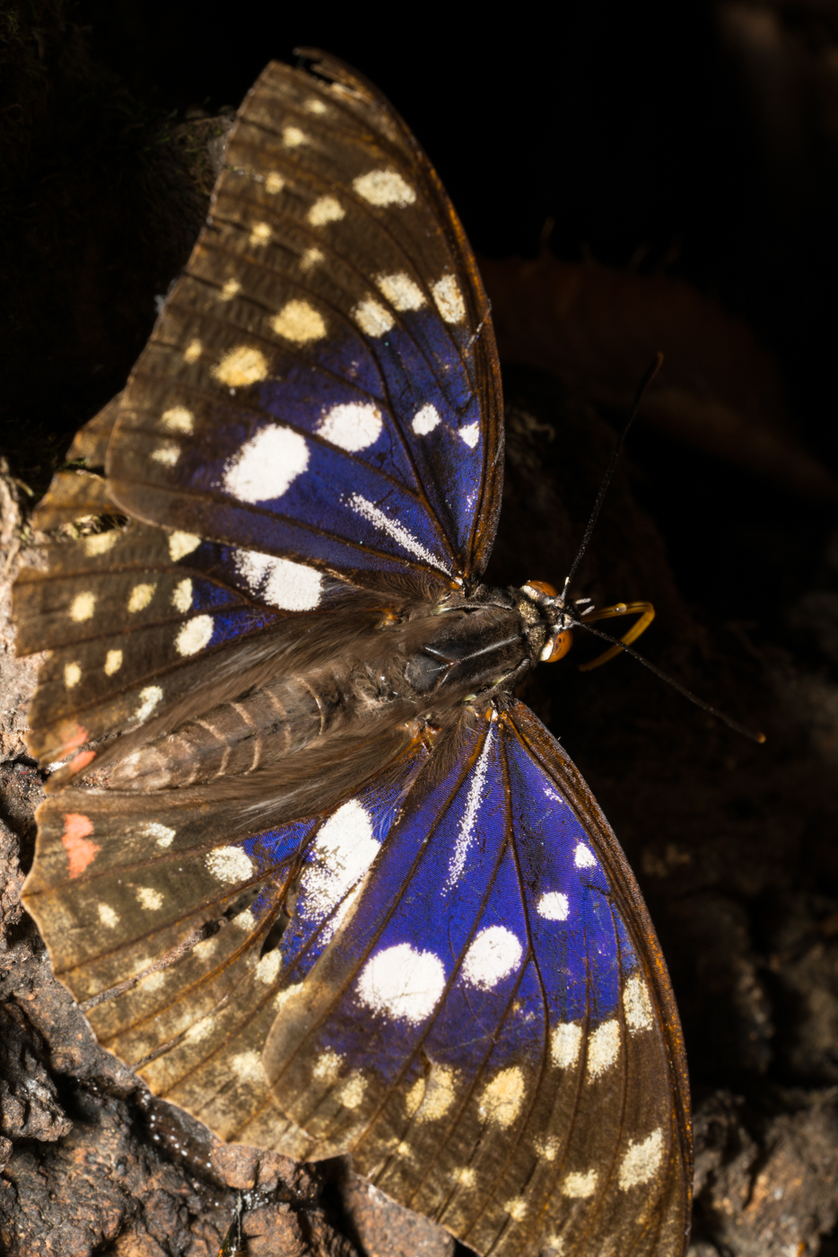 YDY09276.jpg