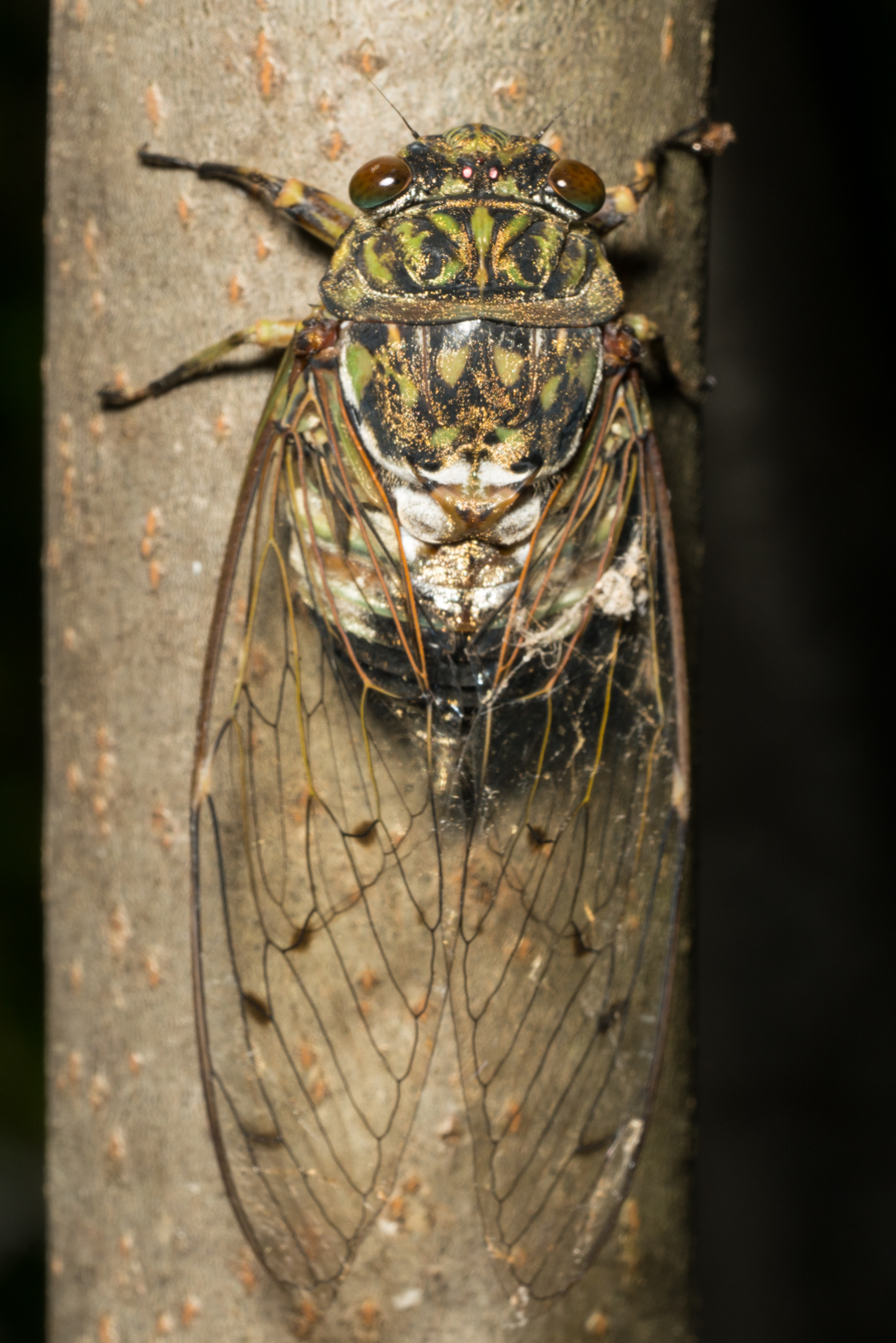 YDY09358.jpg