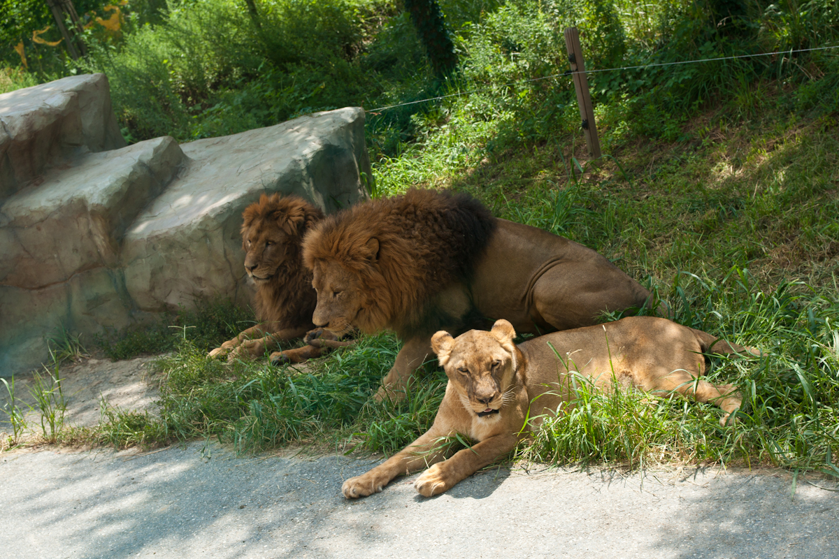 DSC09766.jpg