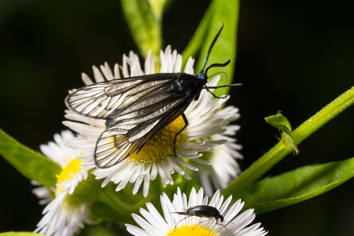 YDY07988.jpg