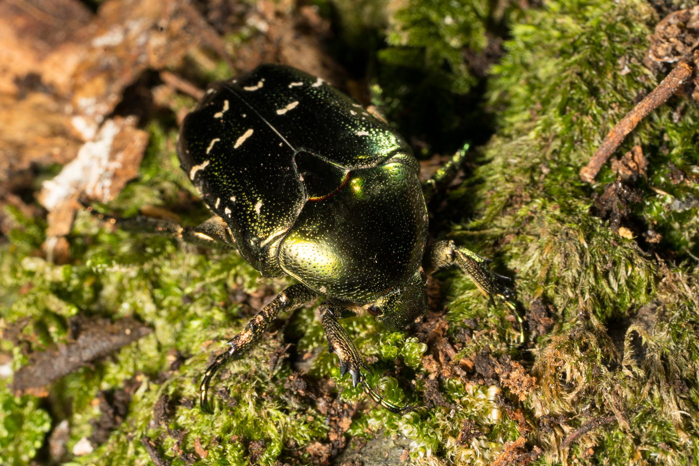 YDY08365.jpg