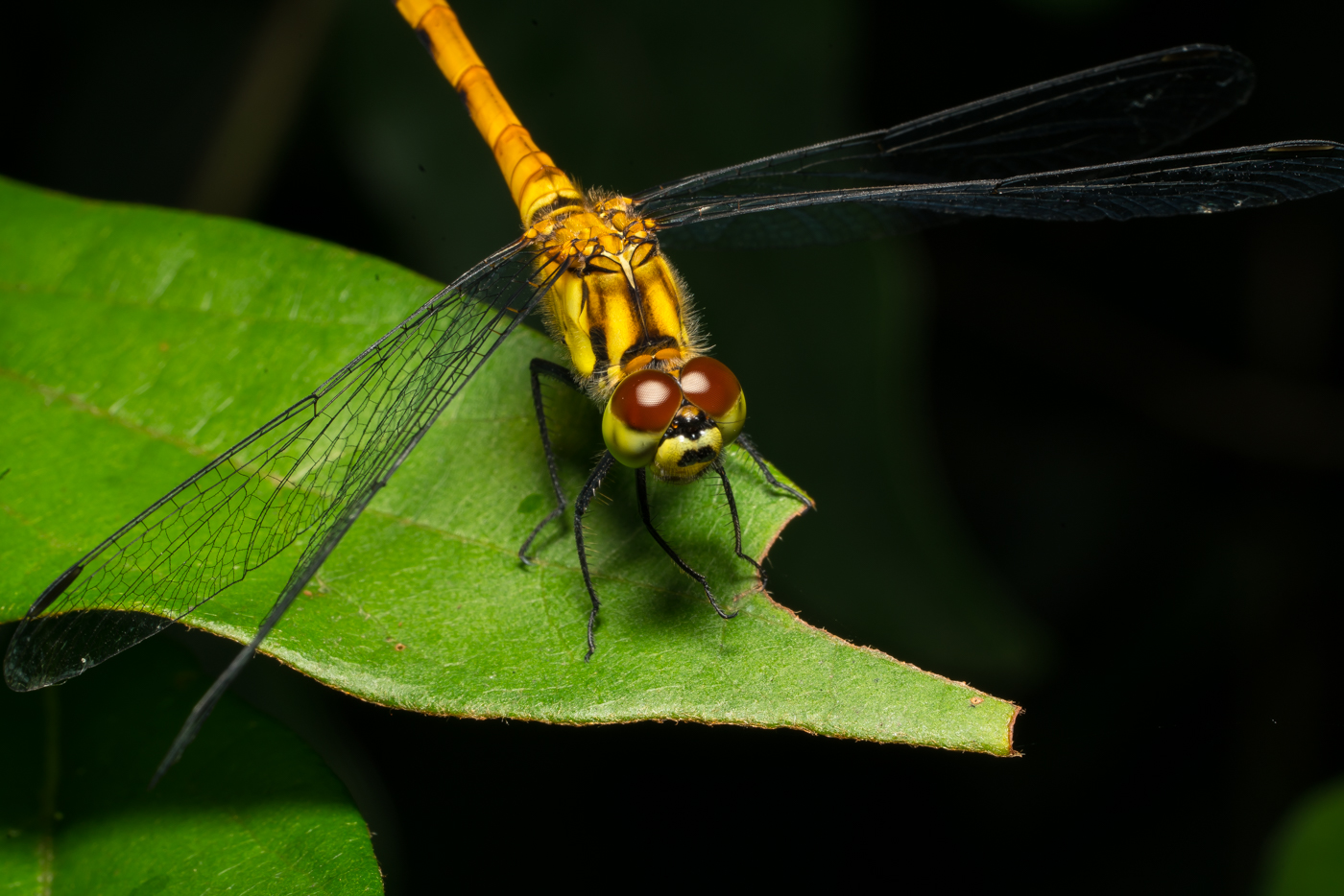 YDY08586.jpg