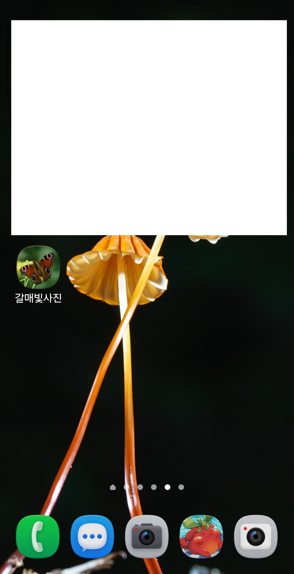 Screenshot_20261005_141243_One UI Home2026.JPG