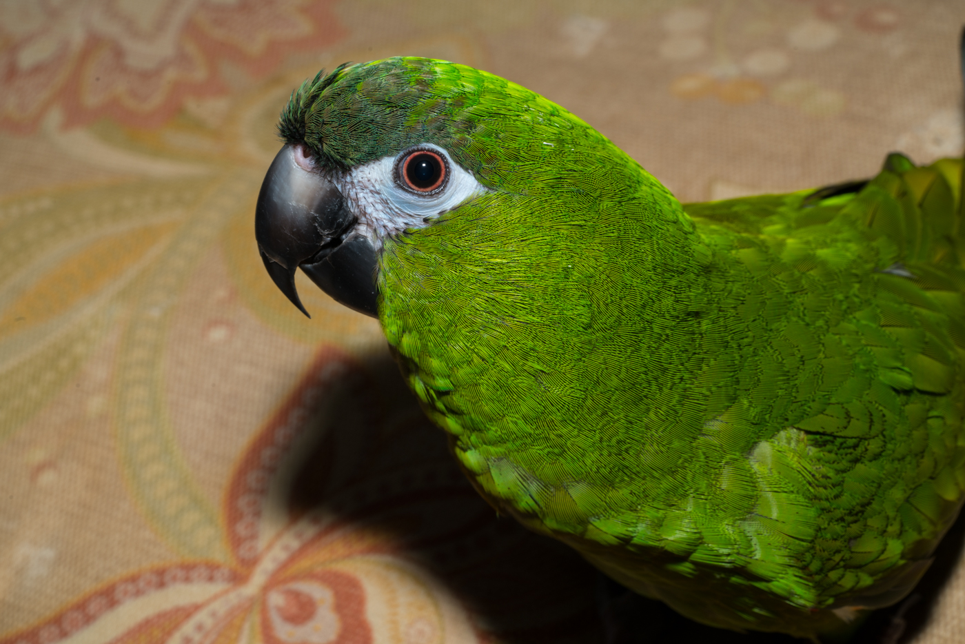 YDY04923.jpg