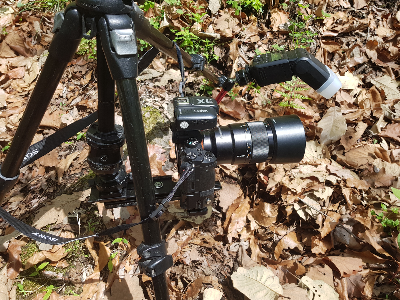 20190427_123441.jpg