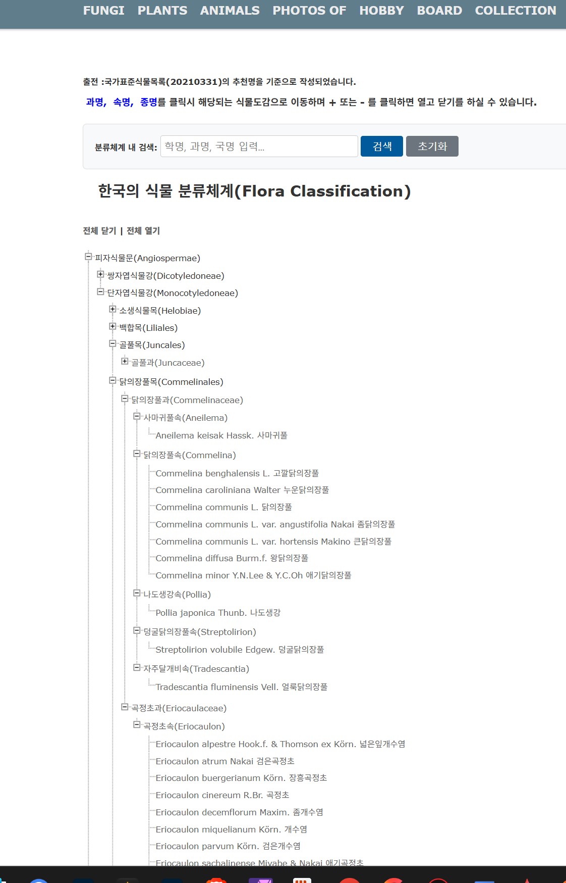 식물분류체계.jpg