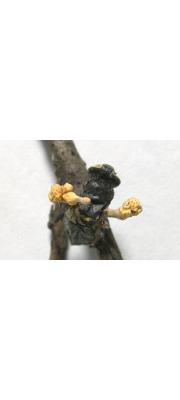 파리동충하초 (Cordyceps discoideocapitata Kobay. &amp; Shim.)