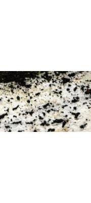 진흙목재고약버섯 (Hyphoderma argillaceum (Bres.) Donk)