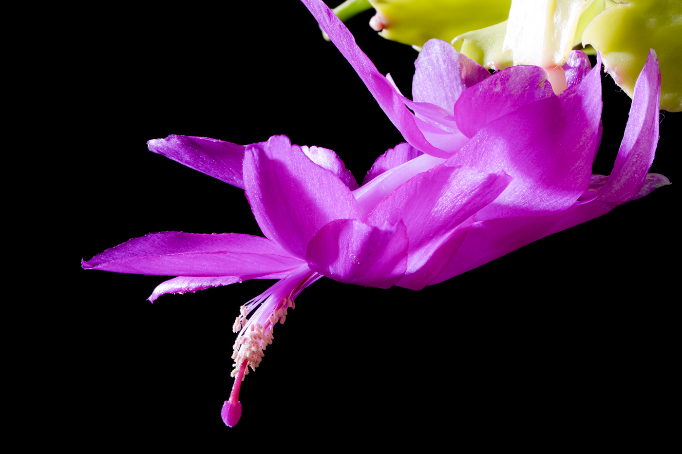 2026-01-31 16-01-27 (B,R4,S2)YDY00034.jpg