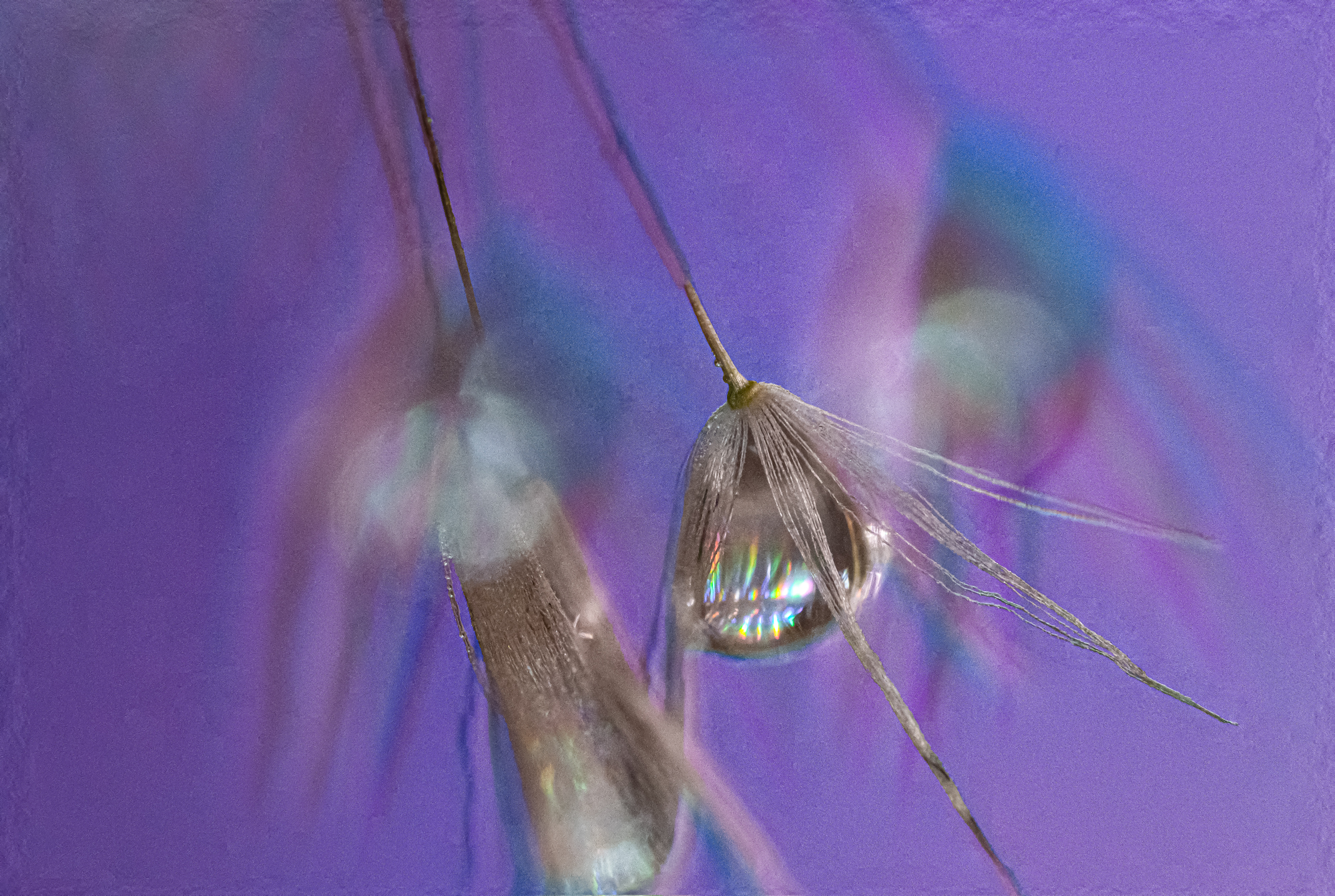 제목 없음-1-2.jpg