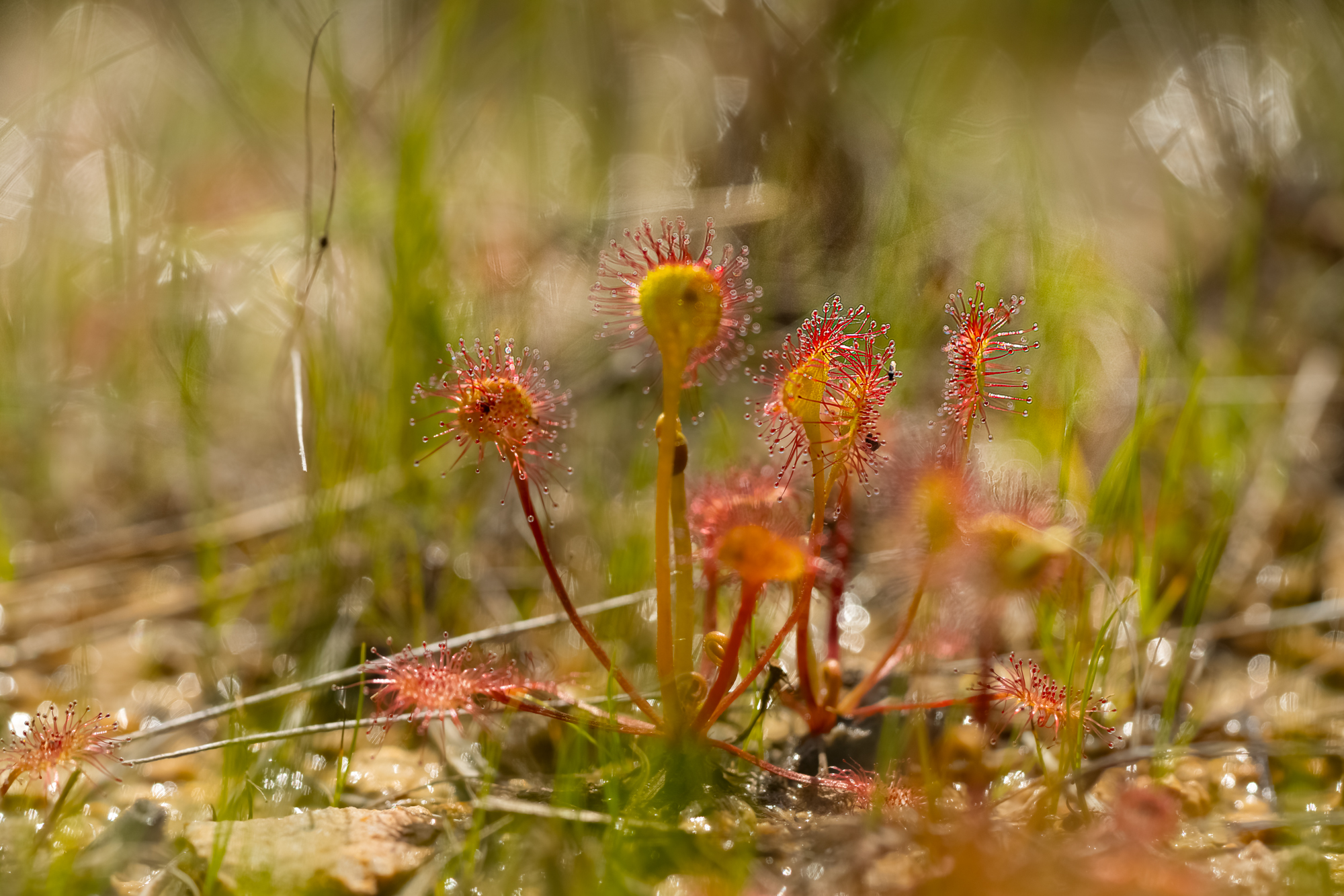 20240515-YDY00466.jpg