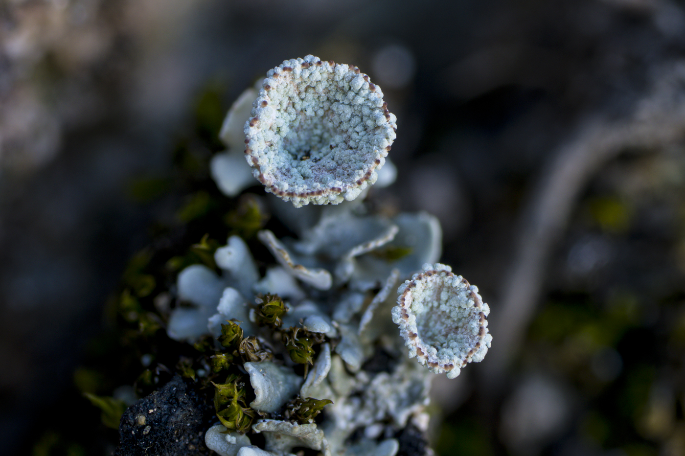 2025-11-11 03-07-50 (B,R4,S2)YDY00001.jpg