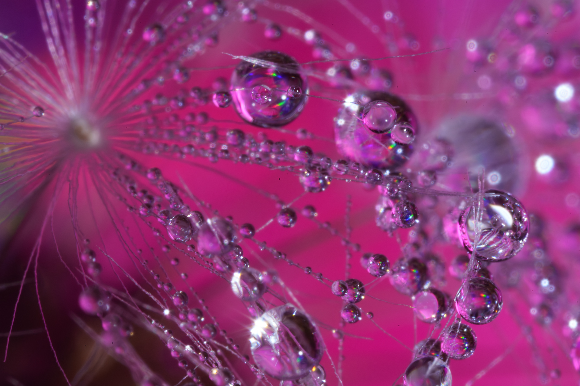 DSC00202.jpg