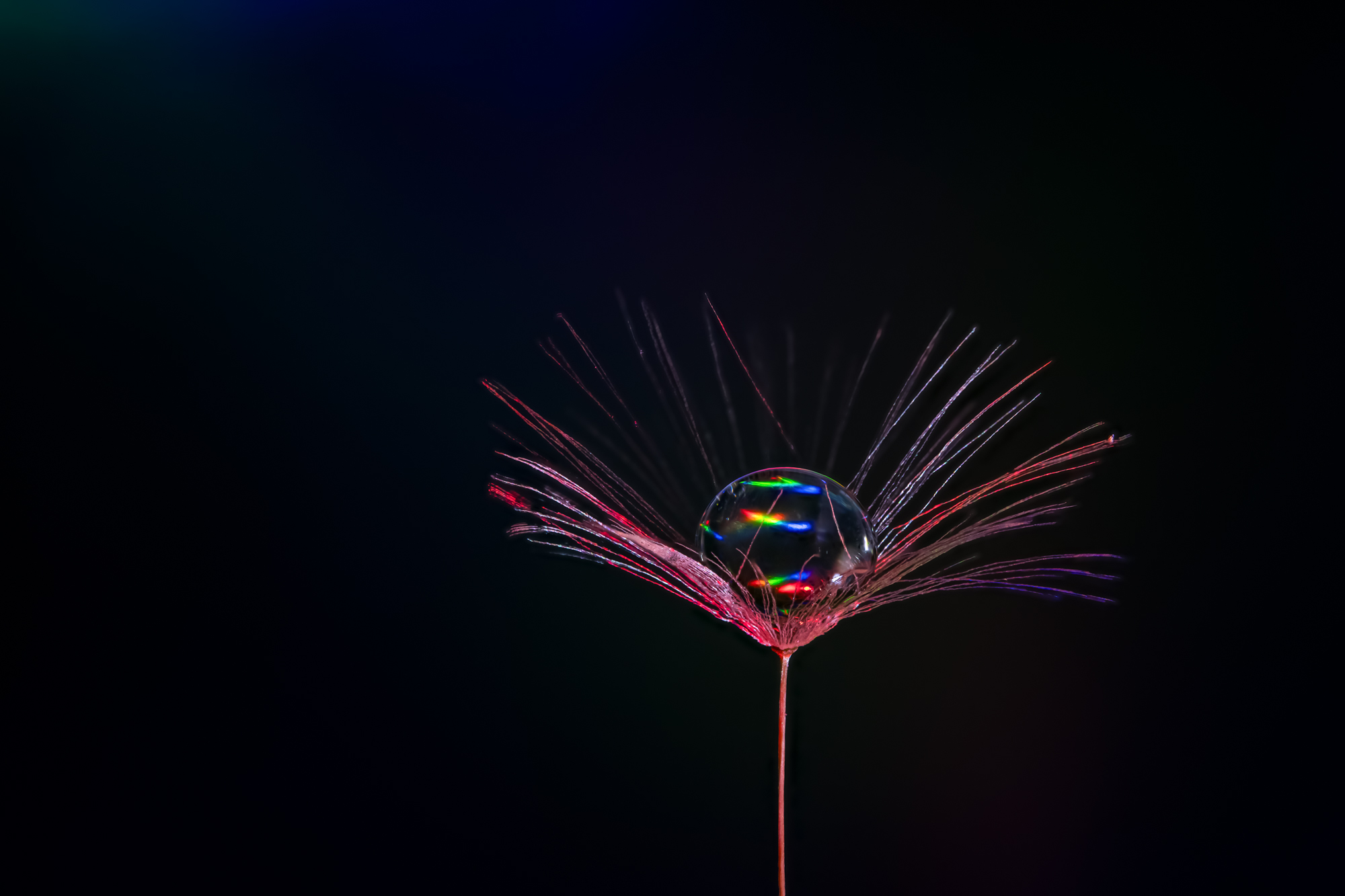 sRGB_전시용1_2.jpg